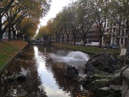 IMG_20191104_160554.jpg