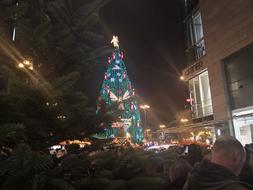 IMG_20191125_180858.jpg