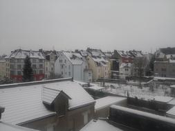 IMG_20210117_094442.jpg