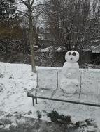 IMG_20210117_112419.jpg