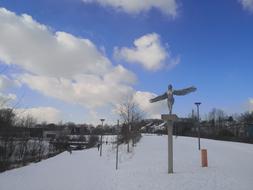 IMG_20210211_122501.jpg