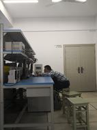 IMG_20190417_153919.jpg